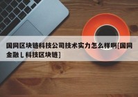 国网区块链科技公司技术实力怎么样啊[国网金融乚科技区块链]